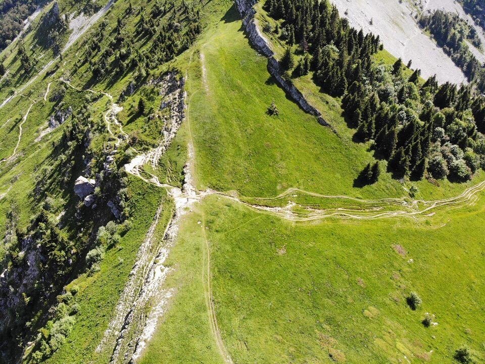 Lire la suite à propos de l’article [:fr]été en Vercors[:]