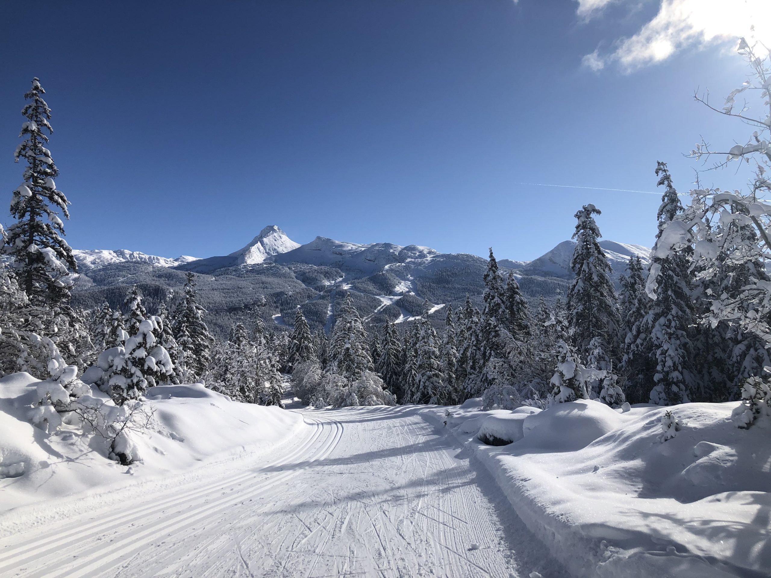 Lire la suite à propos de l’article [:fr]Quel Hiver!![:]